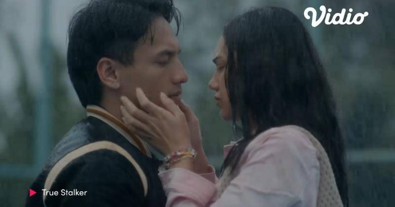 Dok. Vidio/True Stalker